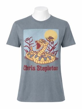 Chris Stapleton Snake Graphic T Shirt Gray Distressed Western Tee NWOT XS